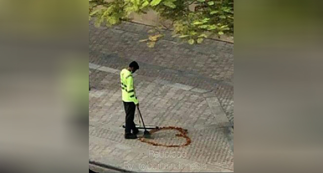 Cerita Haru di Balik Cleaning Service Membuat Gambar Hati Dari Ranting dan Dedaunan